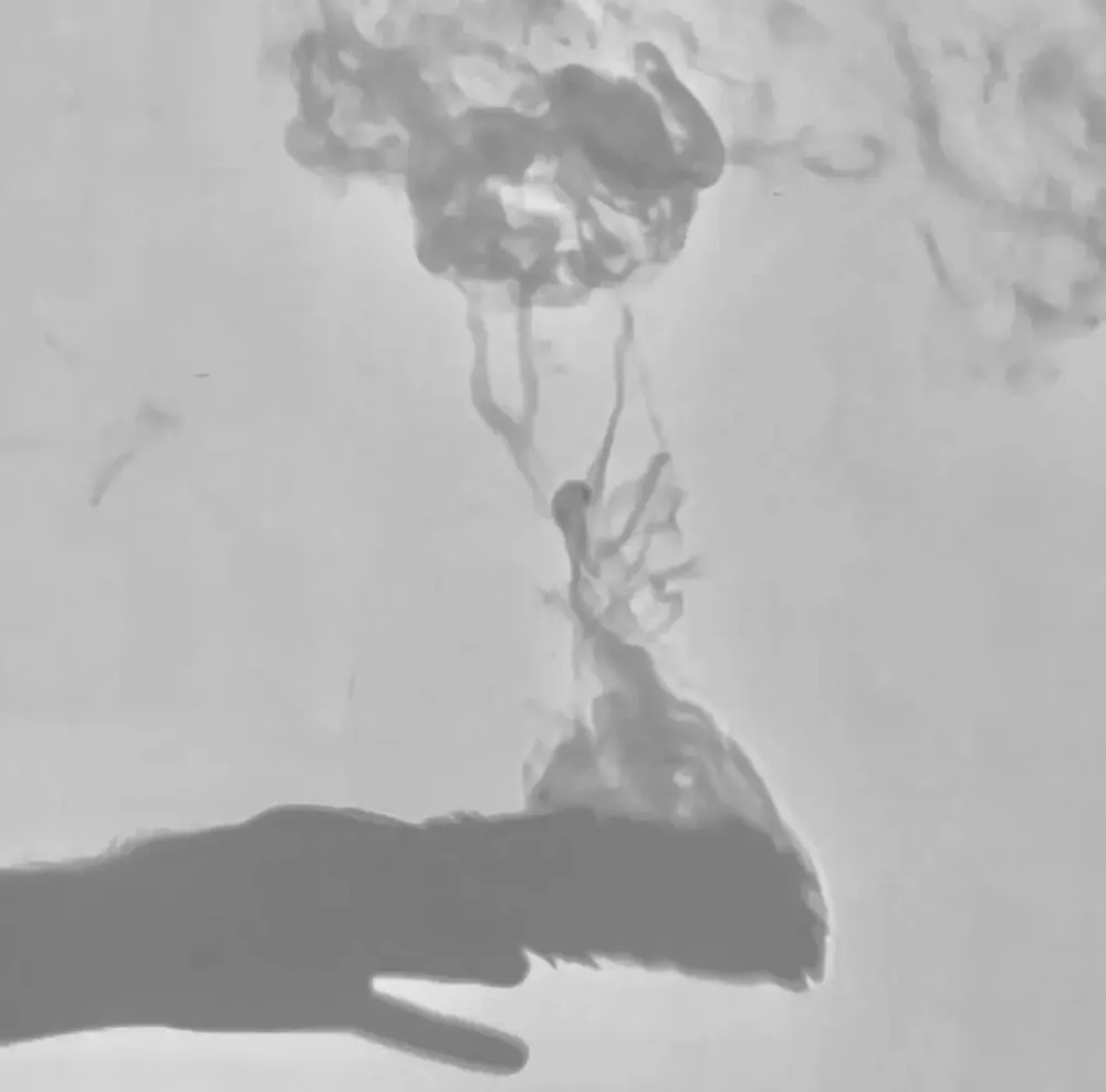 Diffuseurs de parfums - Collection des 6 grands bouquets de fumigation - TOTEM NATURE