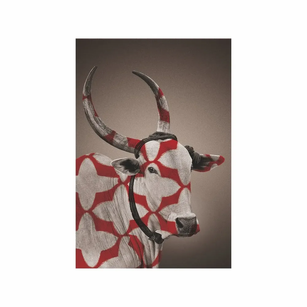 Art photos - NO-MAD Nandi Portrait Canvas Wall Art - NO-MAD