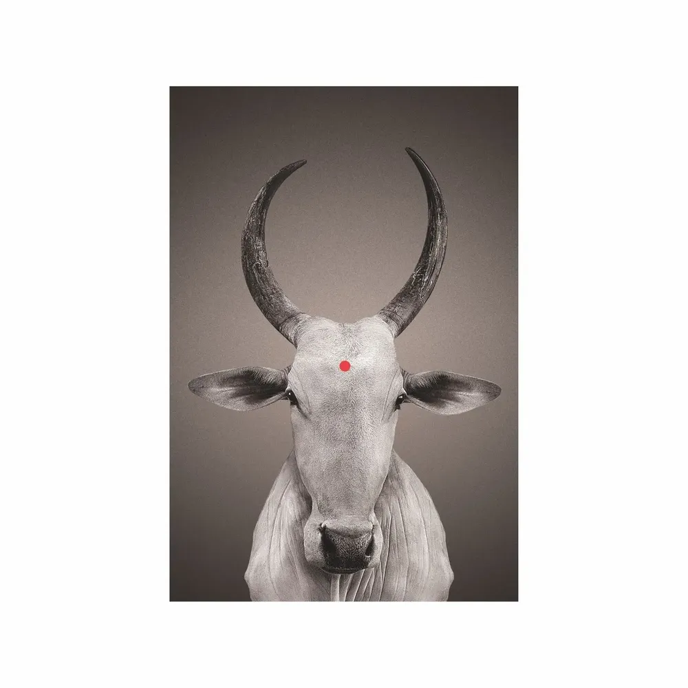 Art photos - NO-MAD Nandi Portrait Canvas Wall Art - NO-MAD