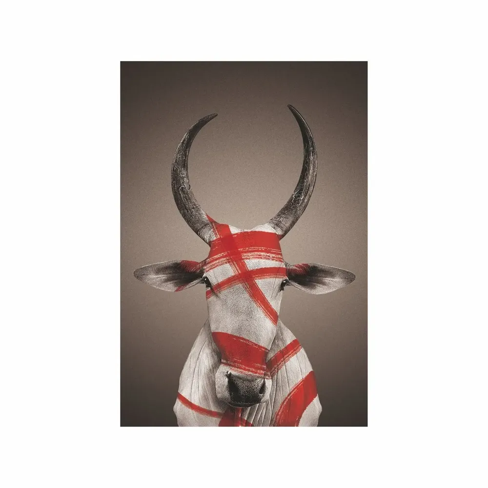 Art photos - NO-MAD Nandi Portrait Canvas Wall Art - NO-MAD