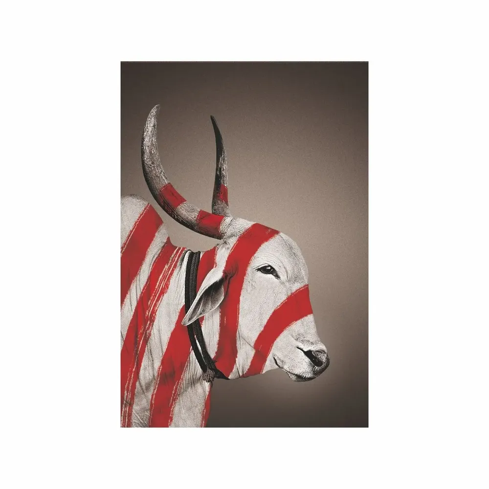 Art photos - NO-MAD Nandi Portrait Canvas Wall Art - NO-MAD
