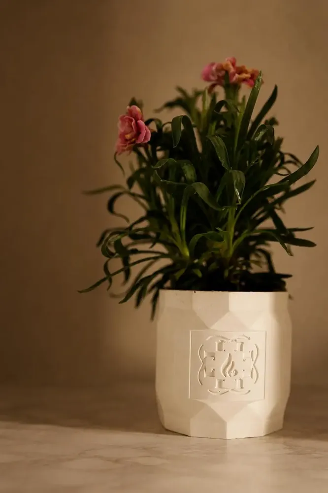 Objets design - BOUGIE PARFUMÉE AU JASMIN ET À L'ABRICOT - FLAMME D'ÉLIXIR