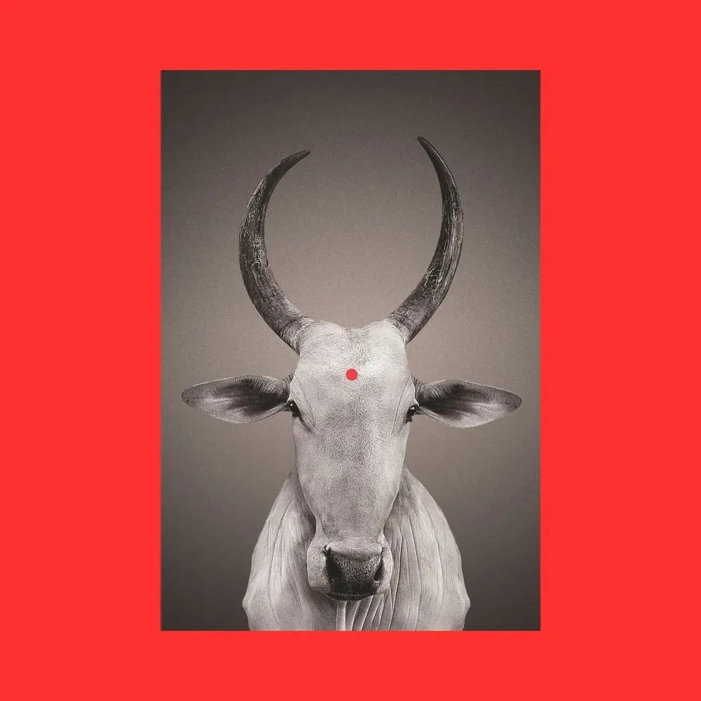 Photos d'art - NO-MAD Nandi Portrait Canvas Wall Art - NO-MAD