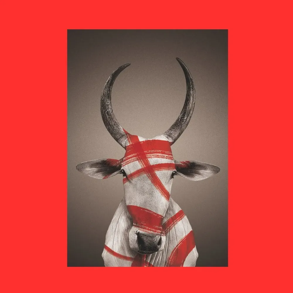 Photos d'art - NO-MAD Nandi Portrait Canvas Wall Art - NO-MAD