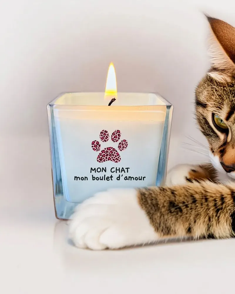 Candles - Candles - TOUT EST DIT