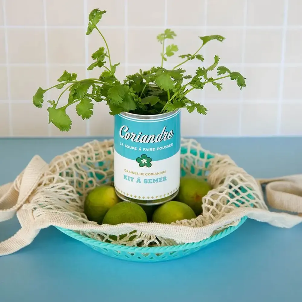 Accessoires de déco extérieure - kit à semer "soupe de Coriandre" Fabriqué en France - MAUVAISES GRAINES