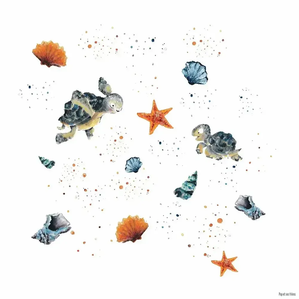 Affiches - Affiche - Les Tortues et les Coquillages - POP ET SES FRÈRES