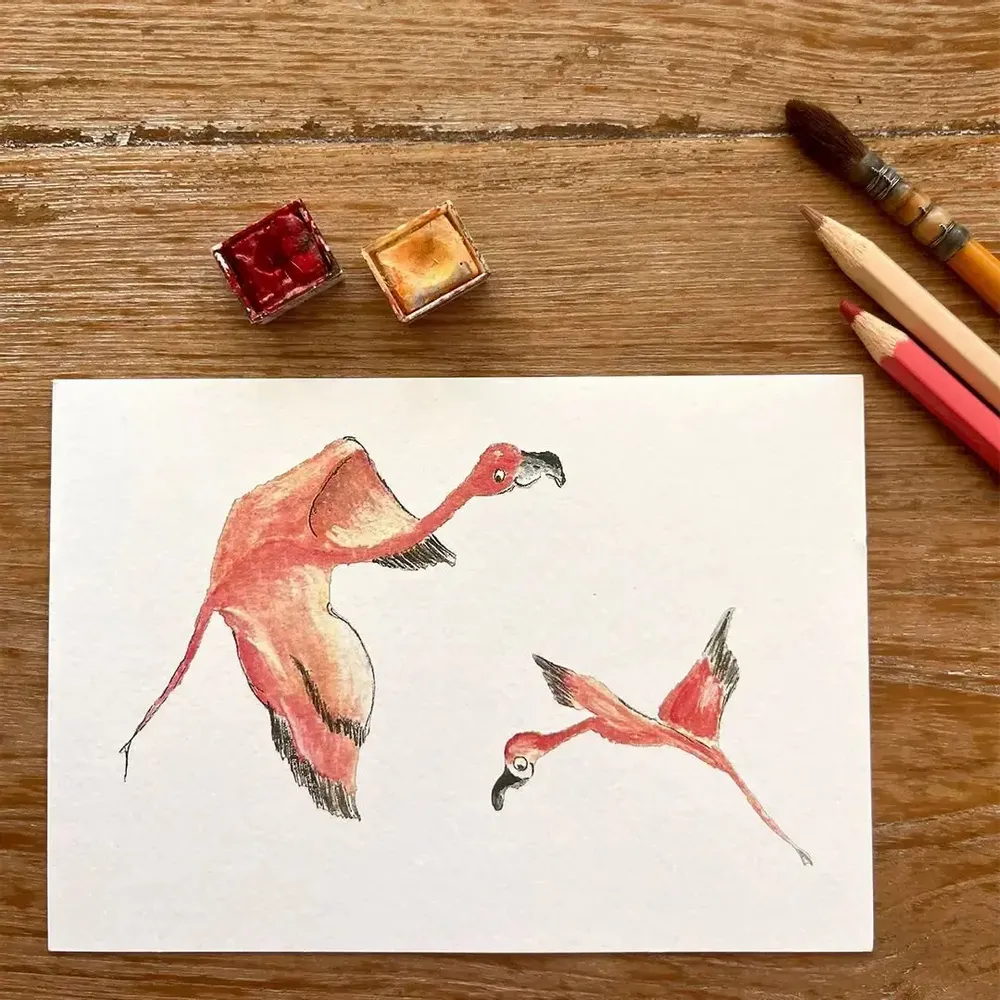 Card shop - Postcard Les Flamants Volants - POP ET SES FRÈRES