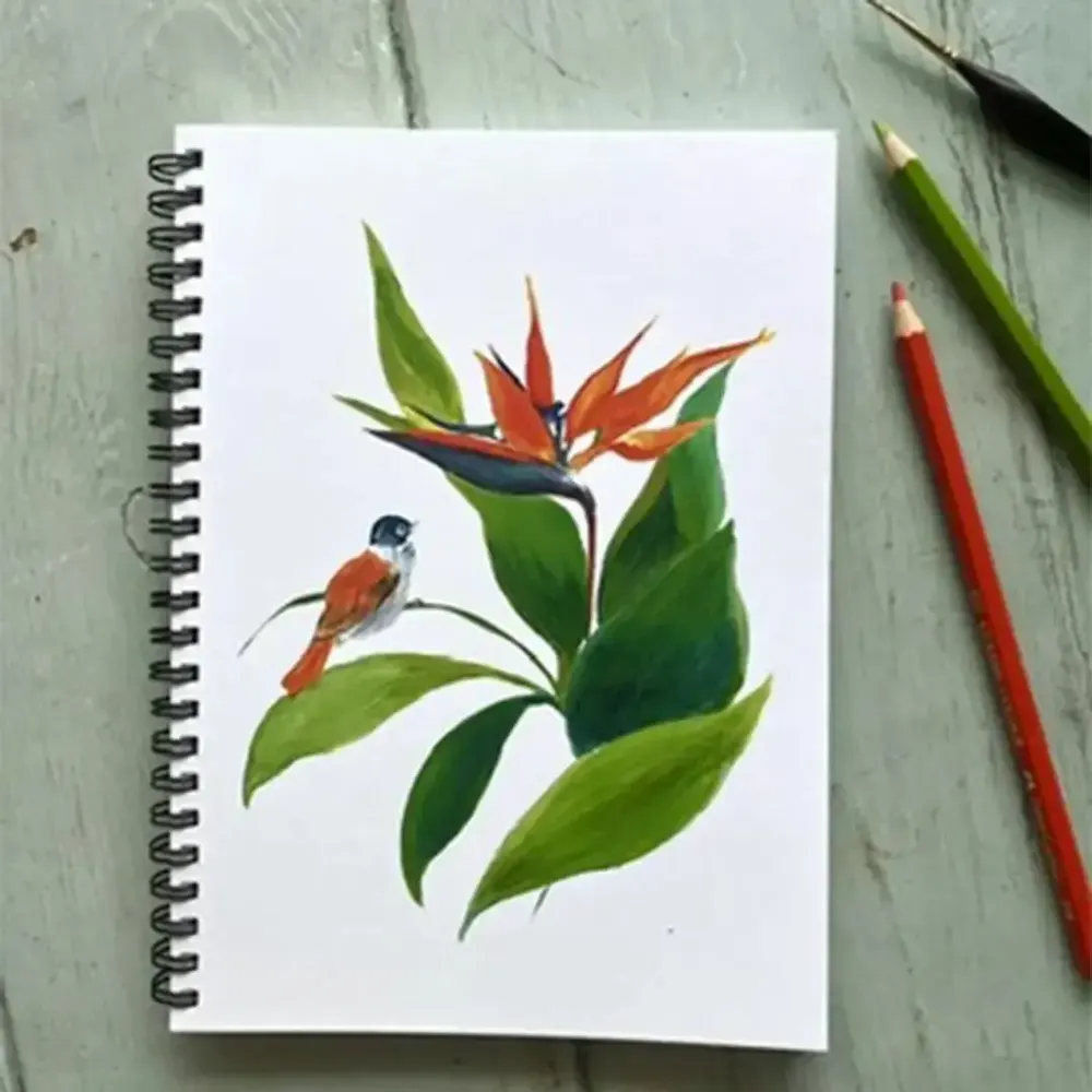 Stationery - Notebook - L'Oiseau de Paradis - POP ET SES FRÈRES