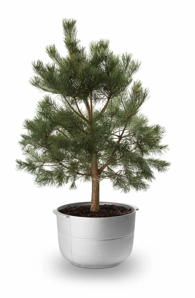 Flower pots - LINEA - KORBO