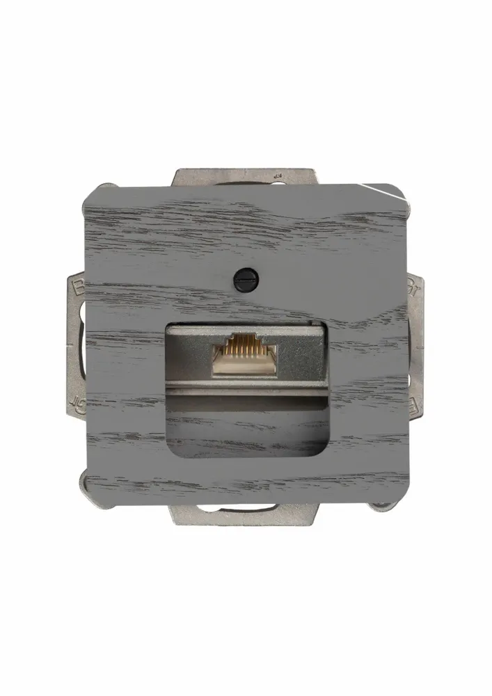 Office design and planning - Network product 1 x Cat. 6 / cat. 6A terminal - WEMEL WOOD