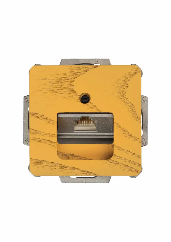 Office design and planning - Network product 1 x Cat. 6 / cat. 6A terminal - WEMEL WOOD