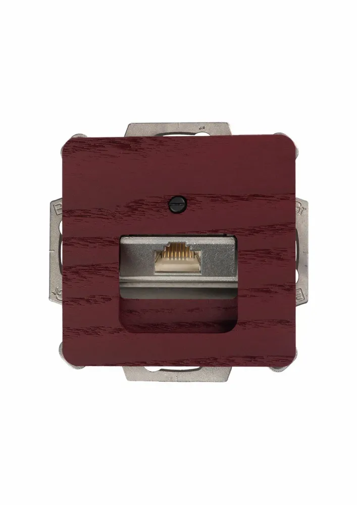 Office design and planning - Network product 1 x Cat. 6 / cat. 6A terminal - WEMEL WOOD