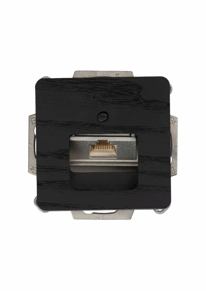 Office design and planning - Network product 1 x Cat. 6 / cat. 6A terminal - WEMEL WOOD