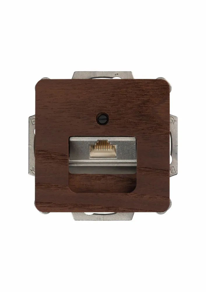 Office design and planning - Network product 1 x Cat. 6 / cat. 6A terminal - WEMEL WOOD