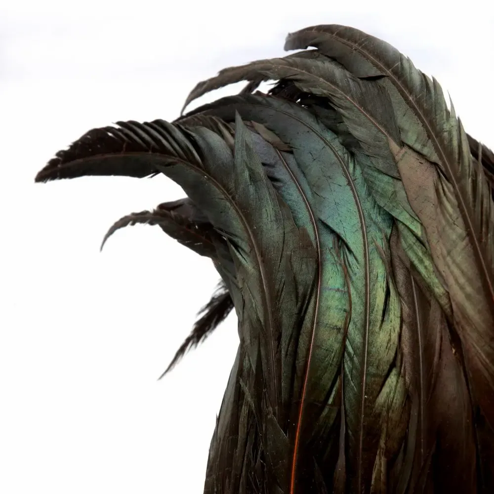 Decorative objects - The Papua Feather Hat on Stand - Black - BAZAR BIZAR LIVING
