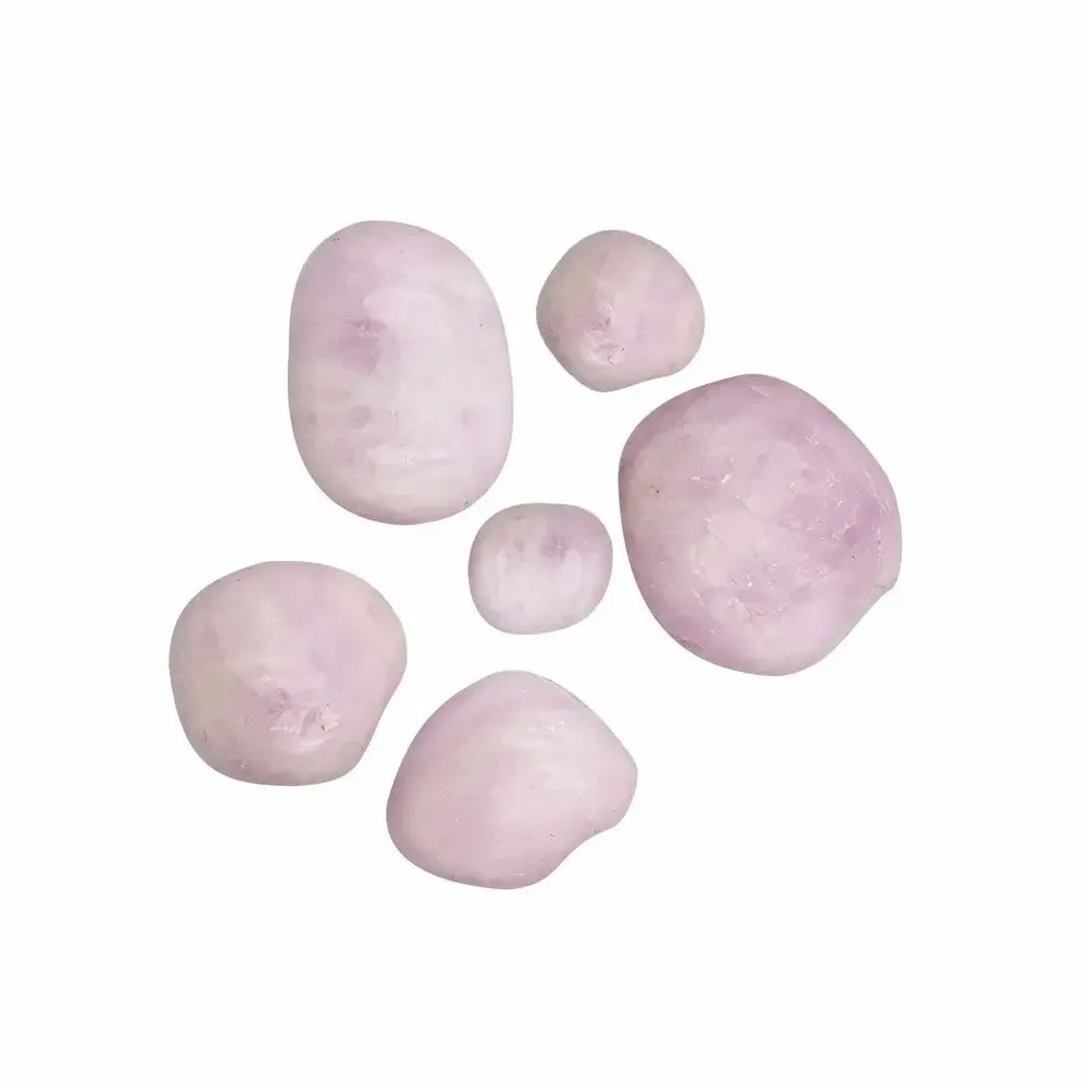 Cadeaux - Lot de 6 Bougies 75gr - LIFE ON VENUS
