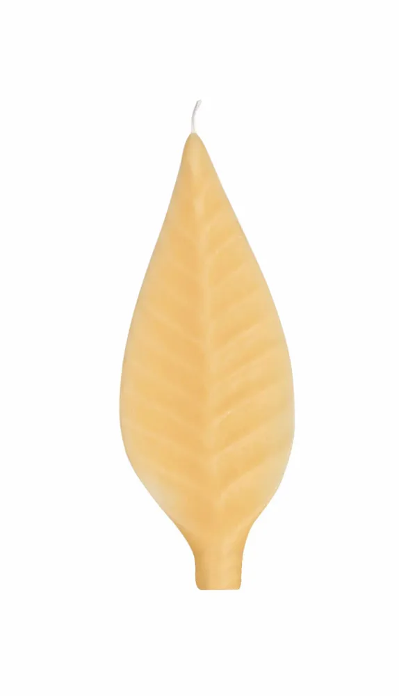 Candles - FEUILLES DE CIRE REFILL CANDLES - CERABELLA SL