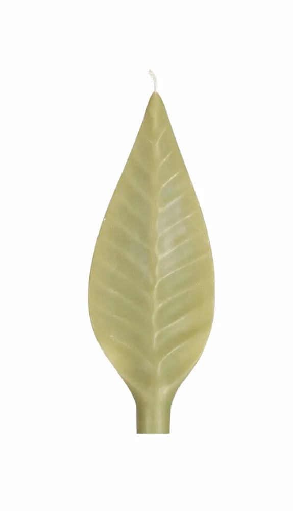Candles - FEUILLES DE CIRE REFILL CANDLES - CERABELLA SL