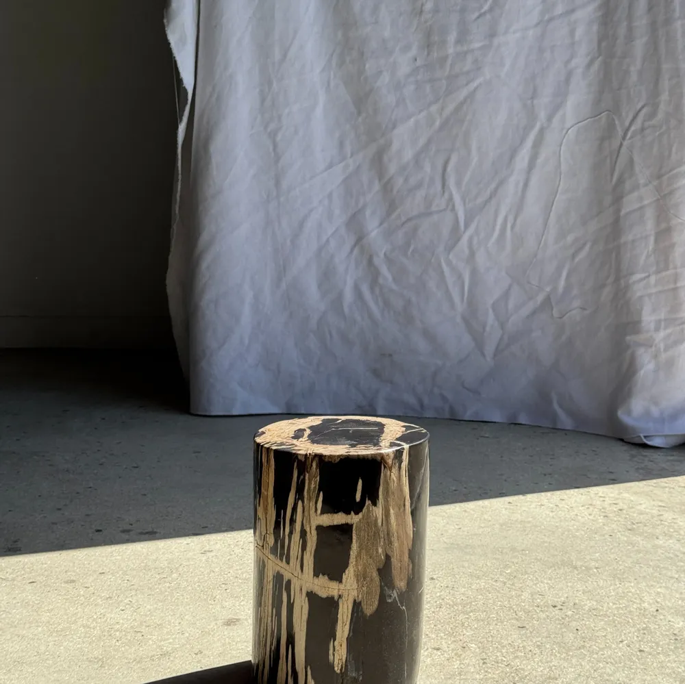 Autres tables  - Petite table d'appoint en bois pétrifié cœur noir écorce stries noires - OFFICE OBJETS