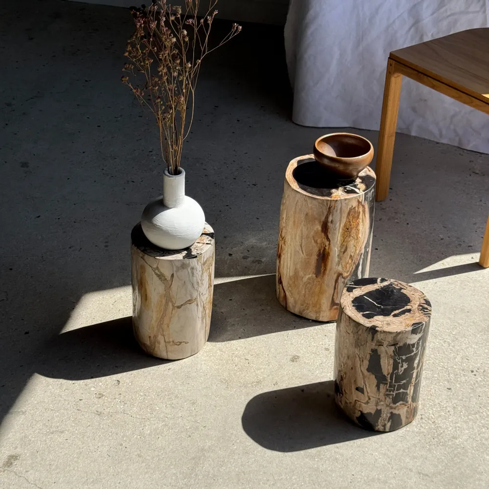Autres tables  - Petite table d'appoint en bois pétrifié cœur noir écorce stries noires - OFFICE OBJETS