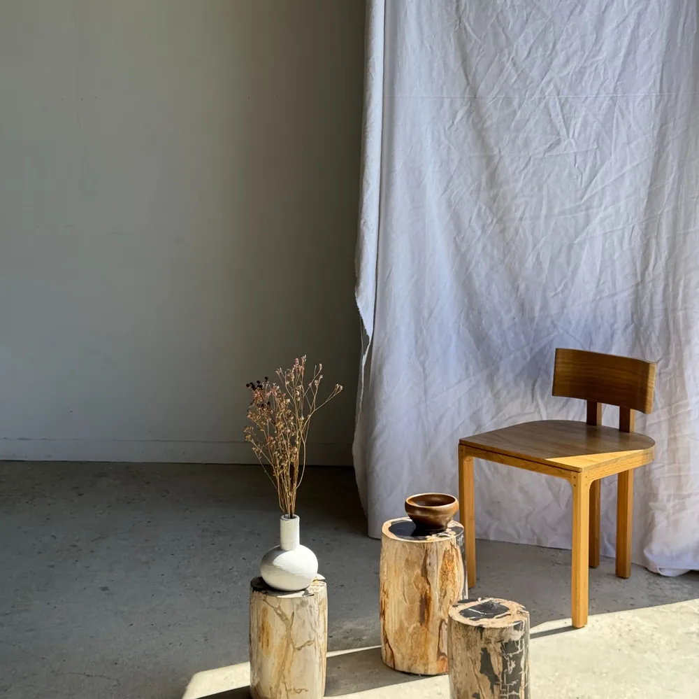 Autres tables  - Petite table d'appoint en bois pétrifié cœur noir écorce stries noires - OFFICE OBJETS