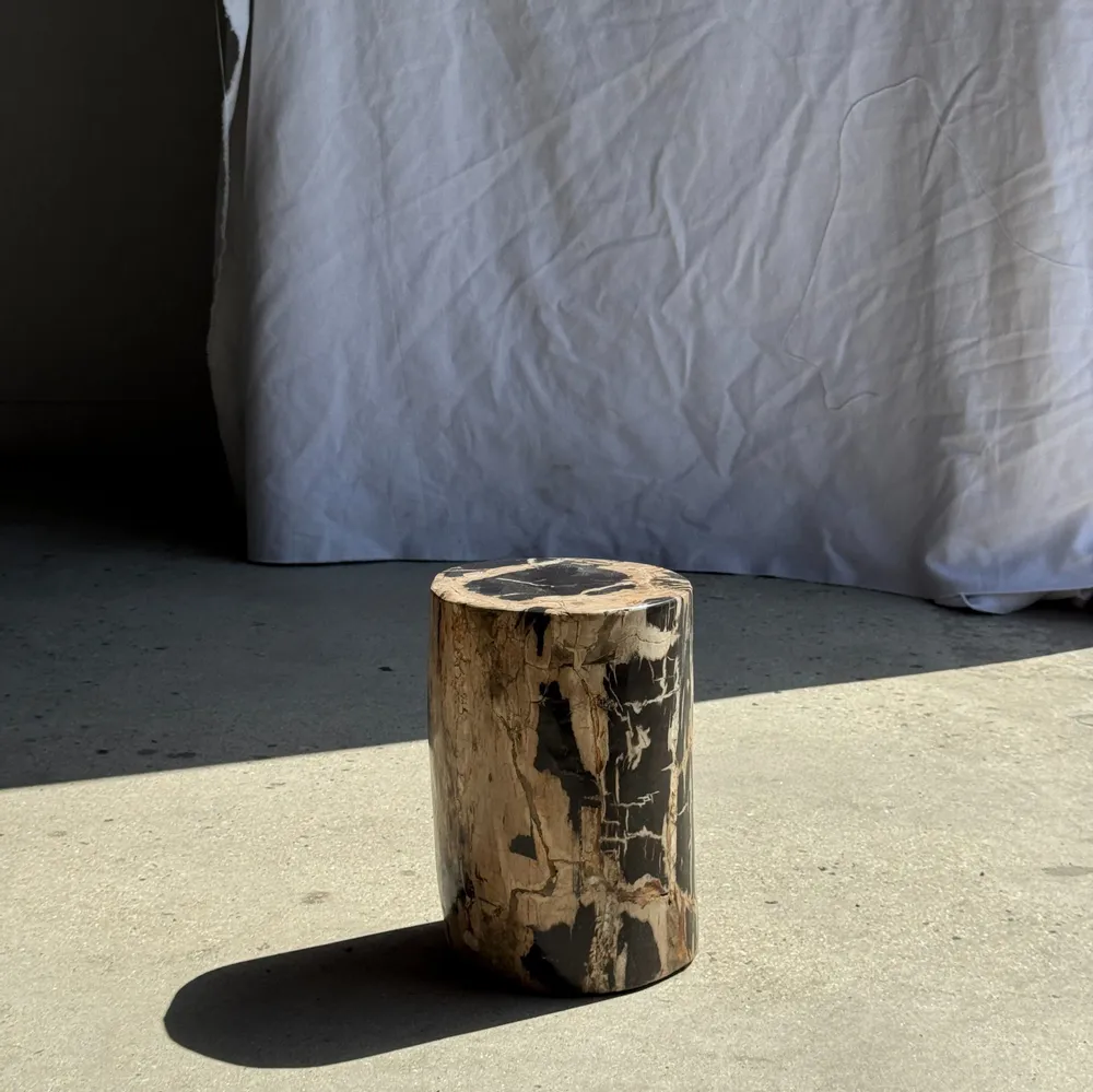 Autres tables  - Petite table d'appoint en bois pétrifié cœur noir écorce stries noires - OFFICE OBJETS