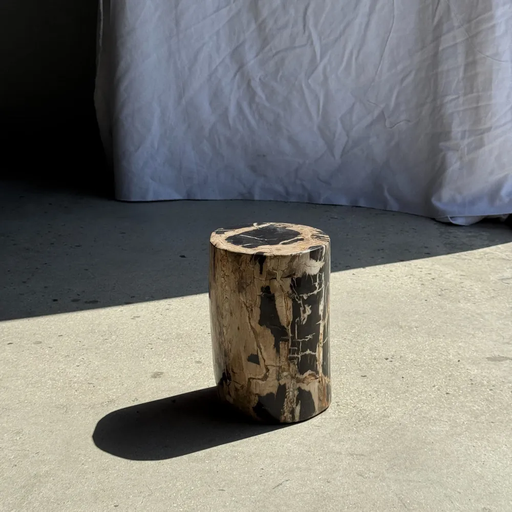 Autres tables  - Petite table d'appoint en bois pétrifié cœur noir écorce stries noires - OFFICE OBJETS