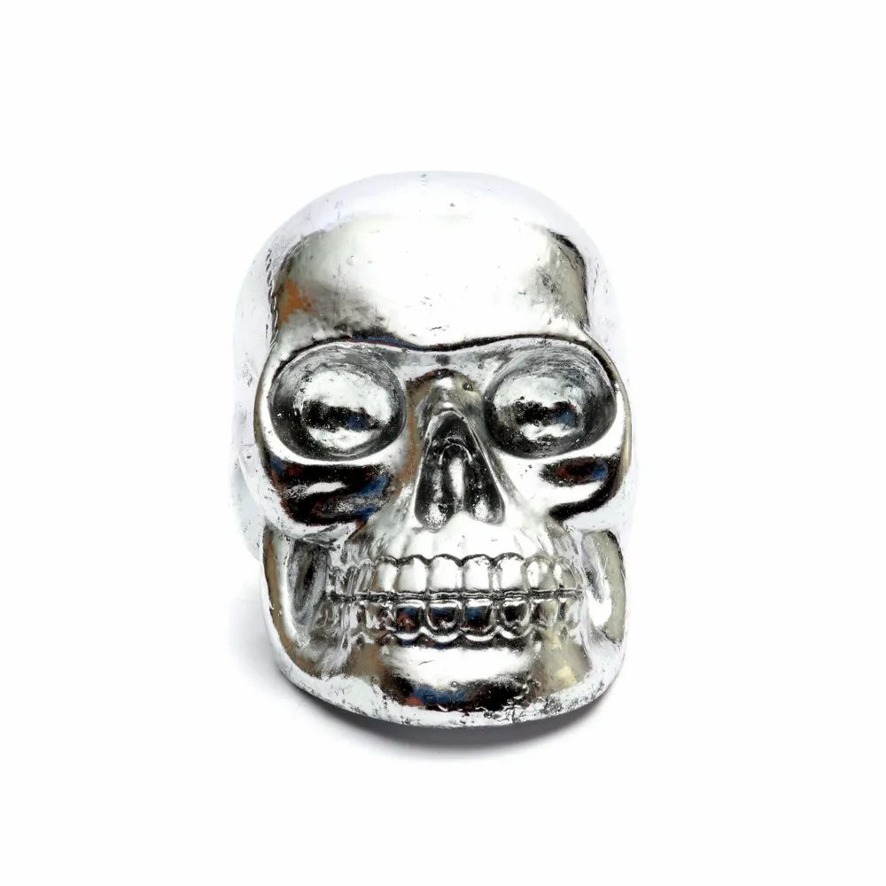 Sculptures, statuettes et miniatures - Le Resin Skull Head Argent - S - BAZAR BIZAR LIVING