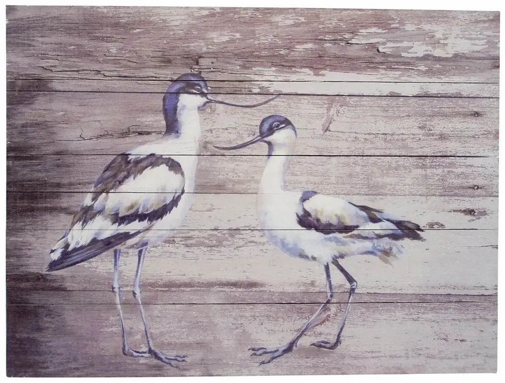 Tableaux - Tableau avocettes élégantes sur base bois (pin) - dim. 33x25 cm - TRADE WINDS