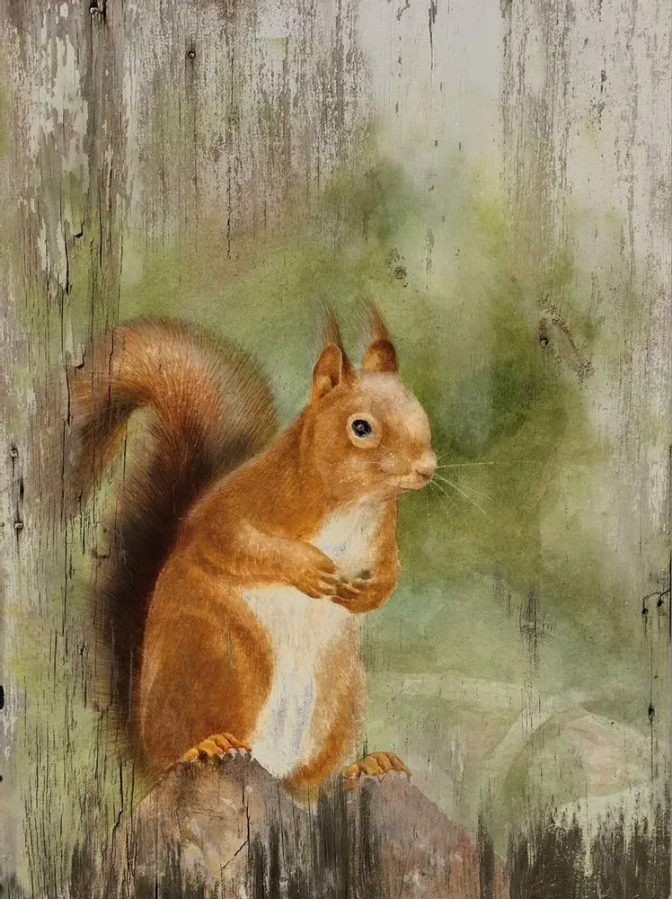 Tableaux - Tableau écureuil sur base bois - 33 x 25 cm - TRADE WINDS