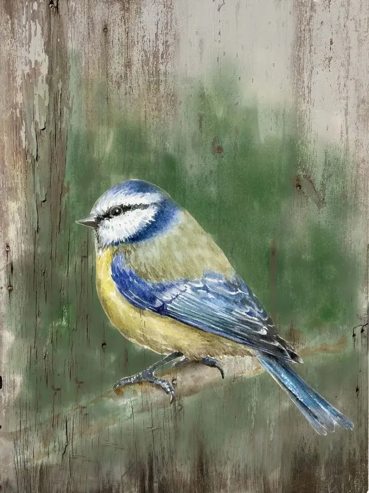 Tableaux - Tableau mésange bleue sur base bois - 33 x 25 cm (pin) - TRADE WINDS