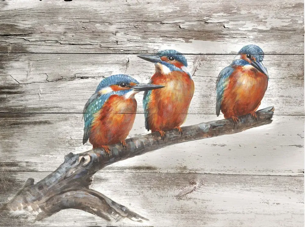 Paintings - Kingfisher wooden frame, (UV=8 pcs), dim. 13”x 9”5/6 - TRADE WINDS