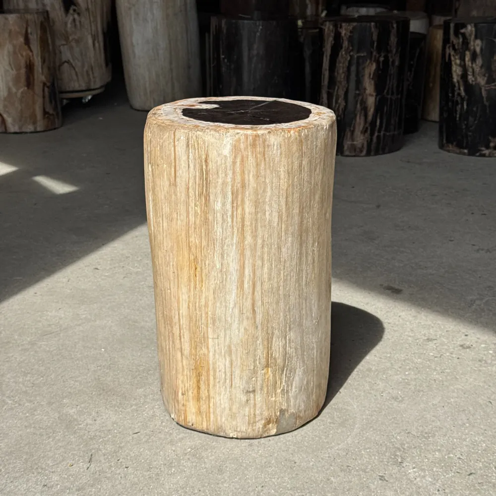 Autres tables  - Table d'appoint en bois pétrifié cœur noir écorce blanche H39 D23 - OFFICE OBJETS