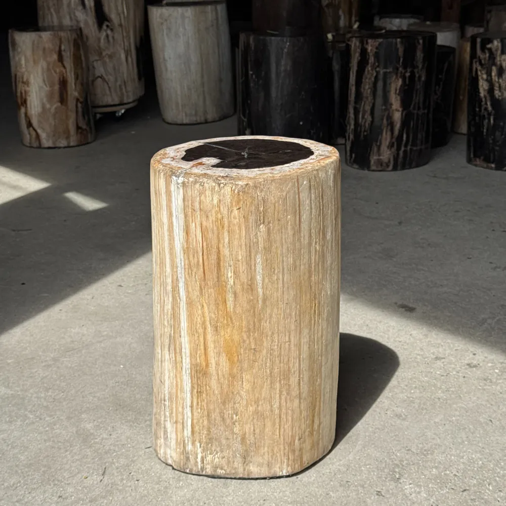 Autres tables  - Table d'appoint en bois pétrifié cœur noir écorce blanche H39 D23 - OFFICE OBJETS