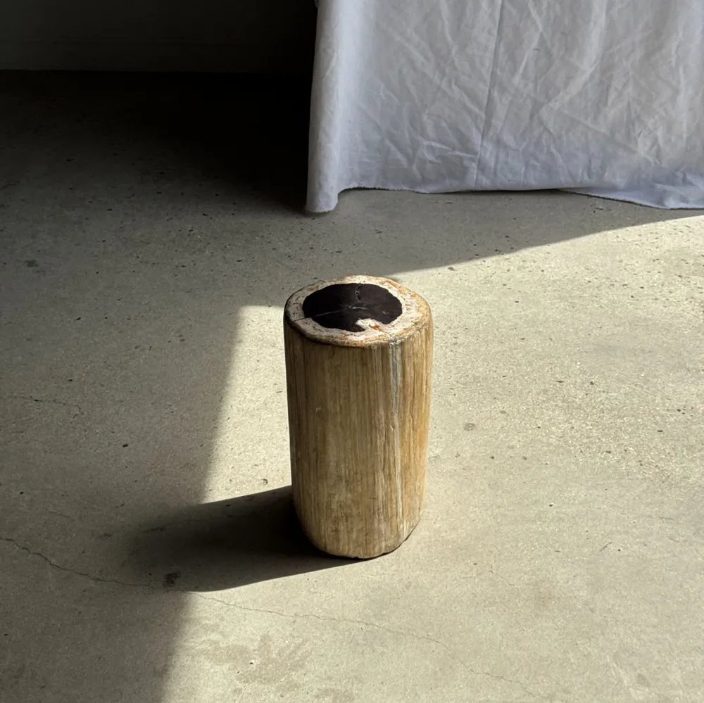 Autres tables  - Table d'appoint en bois pétrifié cœur noir écorce blanche H39 D23 - OFFICE OBJETS
