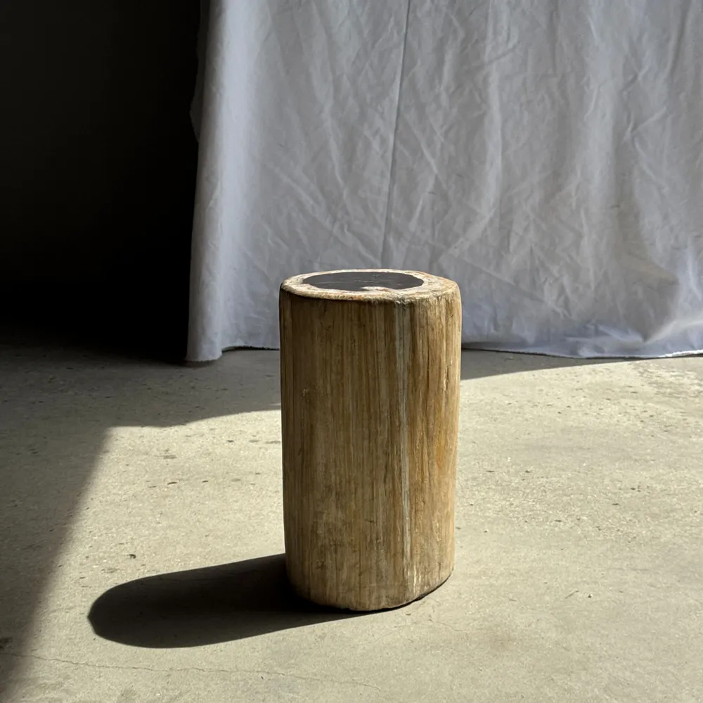 Autres tables  - Table d'appoint en bois pétrifié cœur noir écorce blanche H39 D23 - OFFICE OBJETS