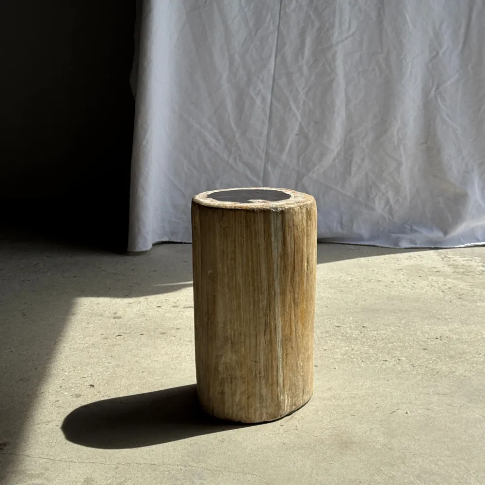 Autres tables  - Table d'appoint en bois pétrifié cœur noir écorce blanche H39 D23 - OFFICE OBJETS