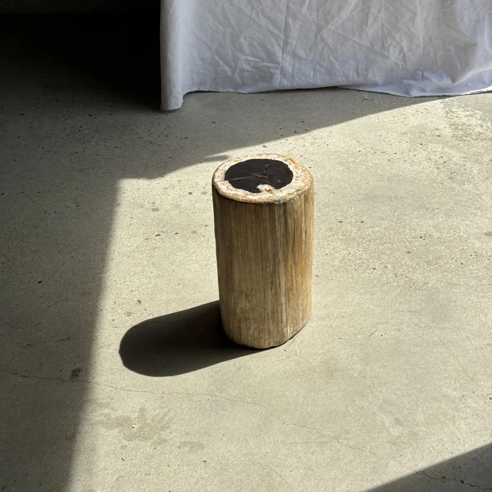 Autres tables  - Table d'appoint en bois pétrifié cœur noir écorce blanche H39 D23 - OFFICE OBJETS