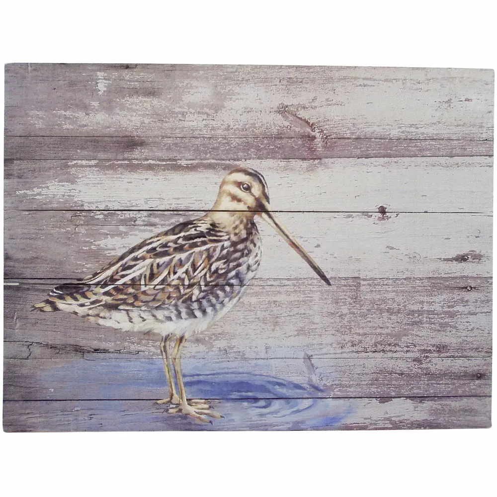Tableaux - Tableau becassine des marais sur base bois (pin) - dim. 33x25 cm - TRADE WINDS