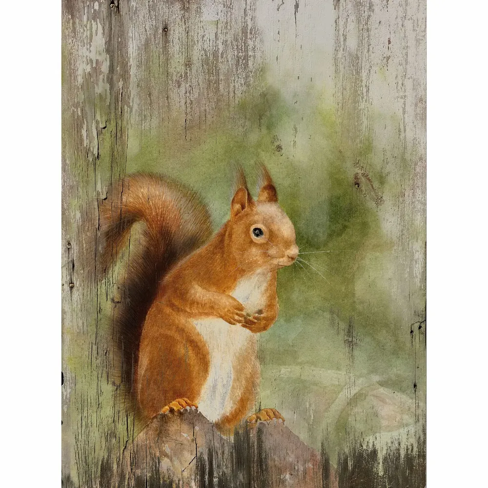 Tableaux - Tableau écureuil sur base bois - 33 x 25 cm - TRADE WINDS