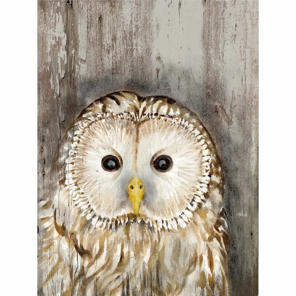Tableaux - Tableau chouette chevêche sur base bois - 33 x 25 cm - TRADE WINDS