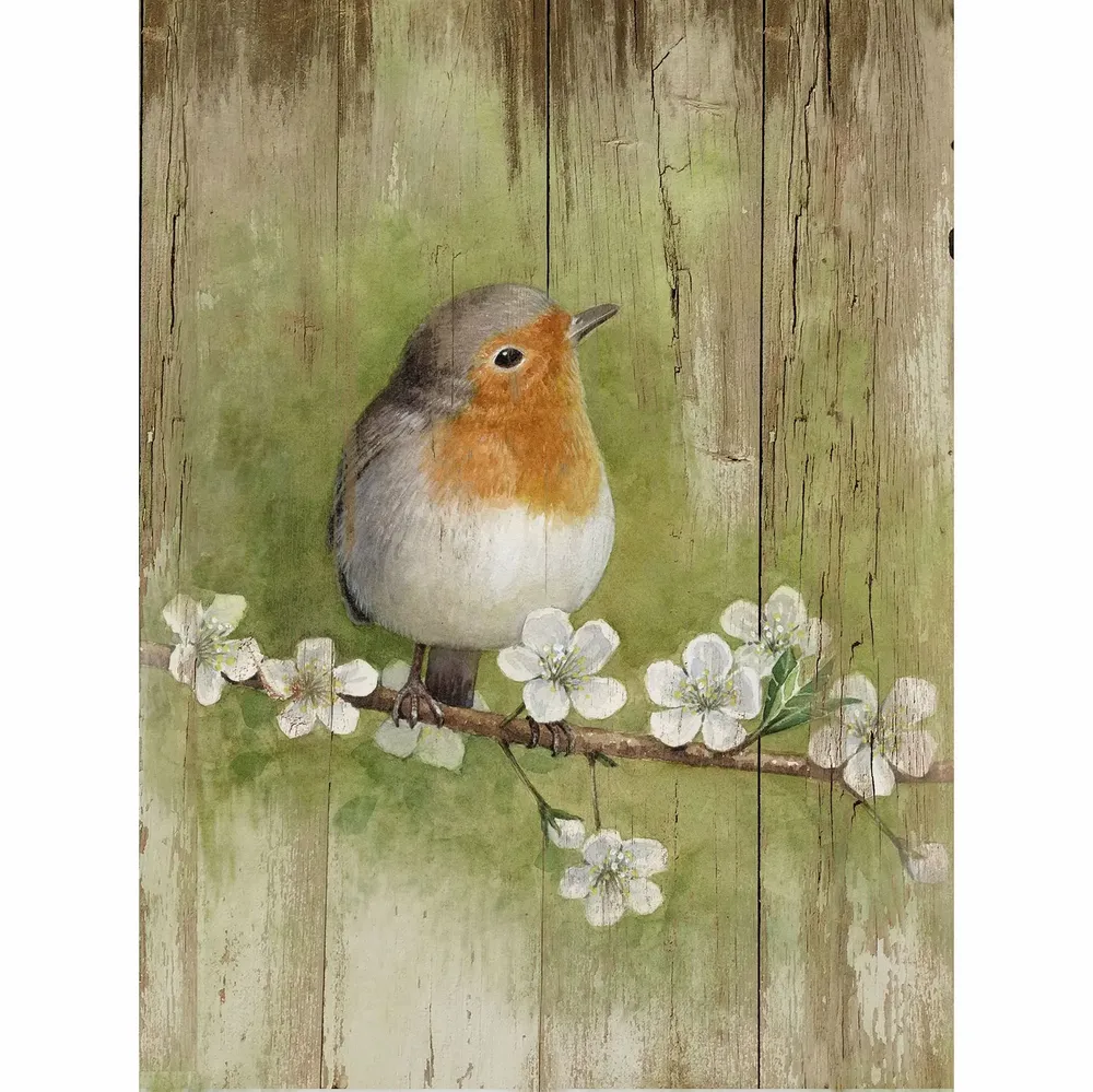 Tableaux - Tableau rouge gorge sur base bois 33x25cm (pin) - TRADE WINDS