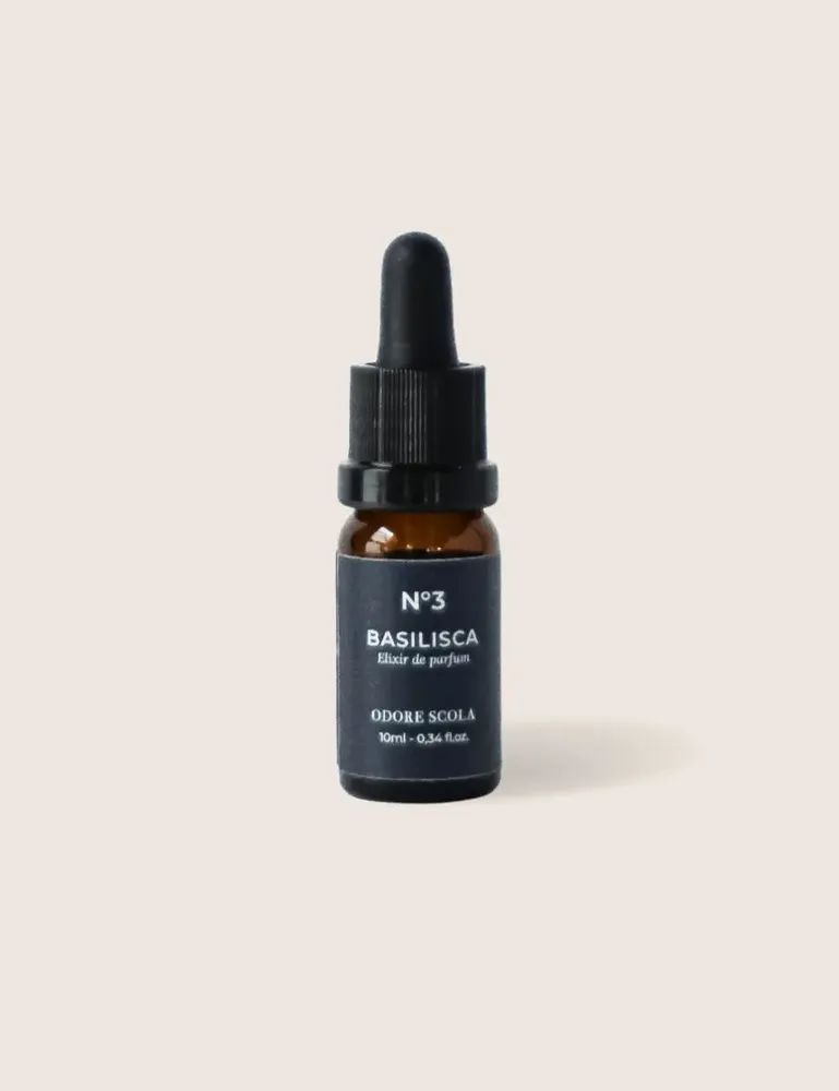 Diffuseurs de parfums - Bouquet parfumé Eau du jardin des plantes - ODORE SCOLA