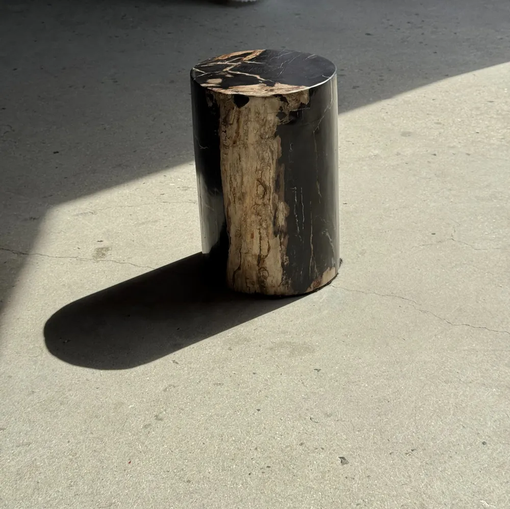Coffee tables - Small side table in black petrified wood with beige stripes and sides - OFFICE OBJETS