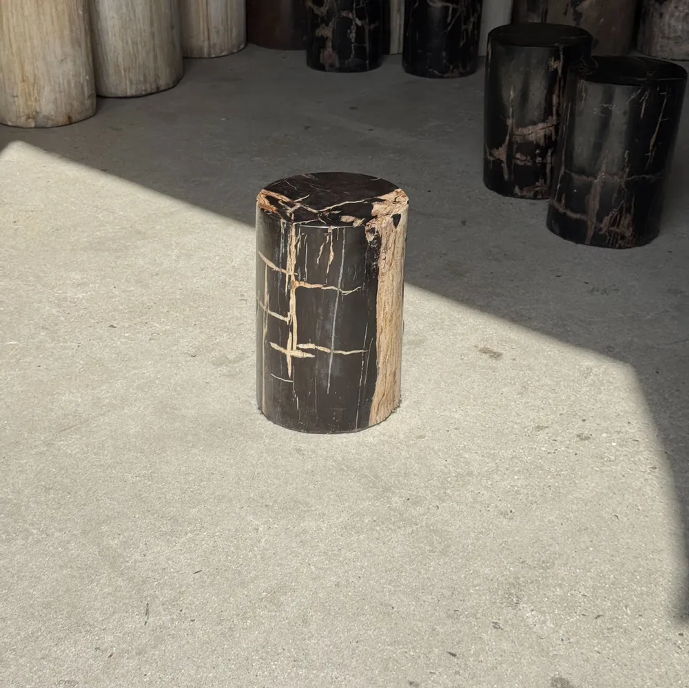Coffee tables - Small side table in black petrified wood with beige stripes and sides - OFFICE OBJETS