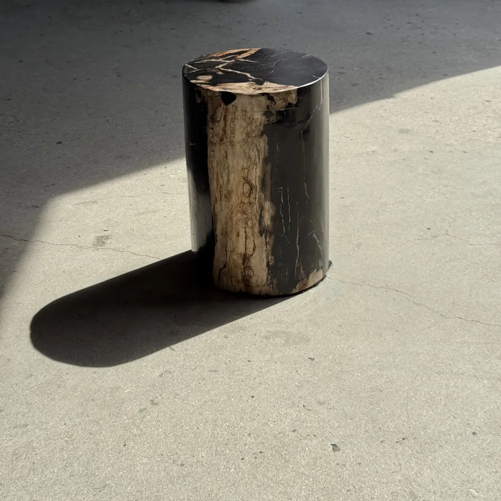 Coffee tables - Small side table in black petrified wood with beige stripes and sides - OFFICE OBJETS