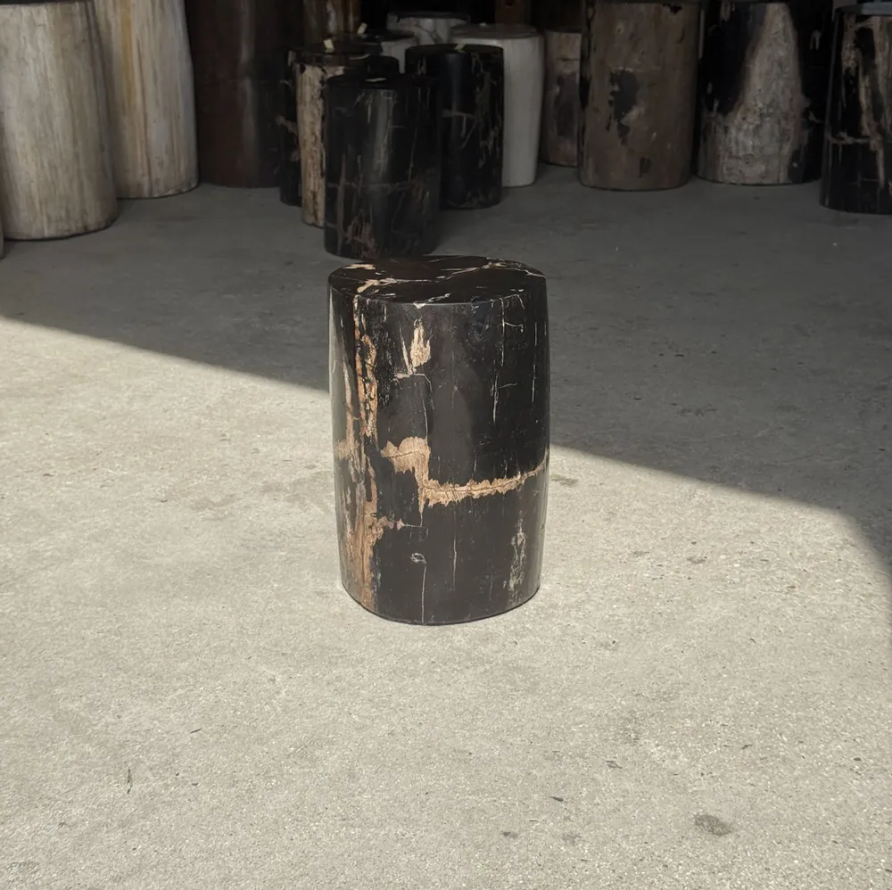 Coffee tables - Small side table in black petrified wood with streaks and beige low si - OFFICE OBJETS
