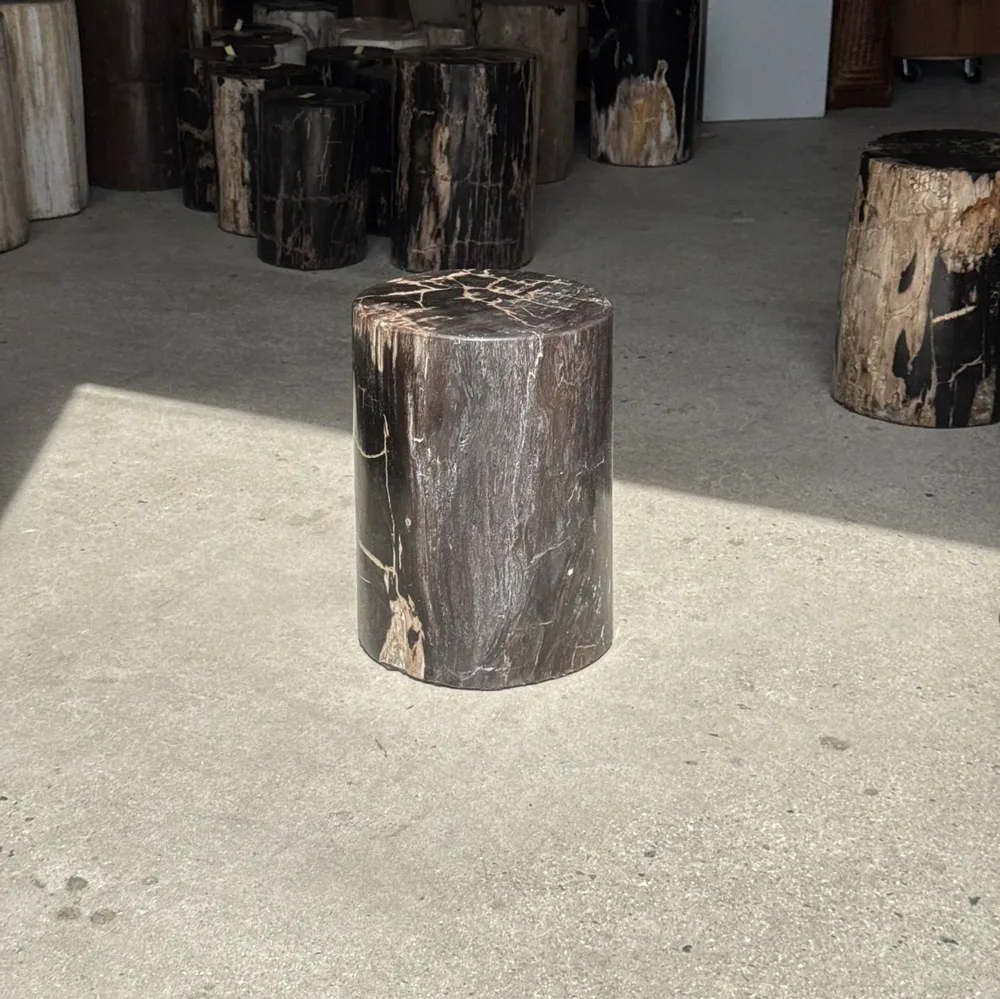 Coffee tables - Side table in black petrified wood with beige stripes fine network H35 - OFFICE OBJETS