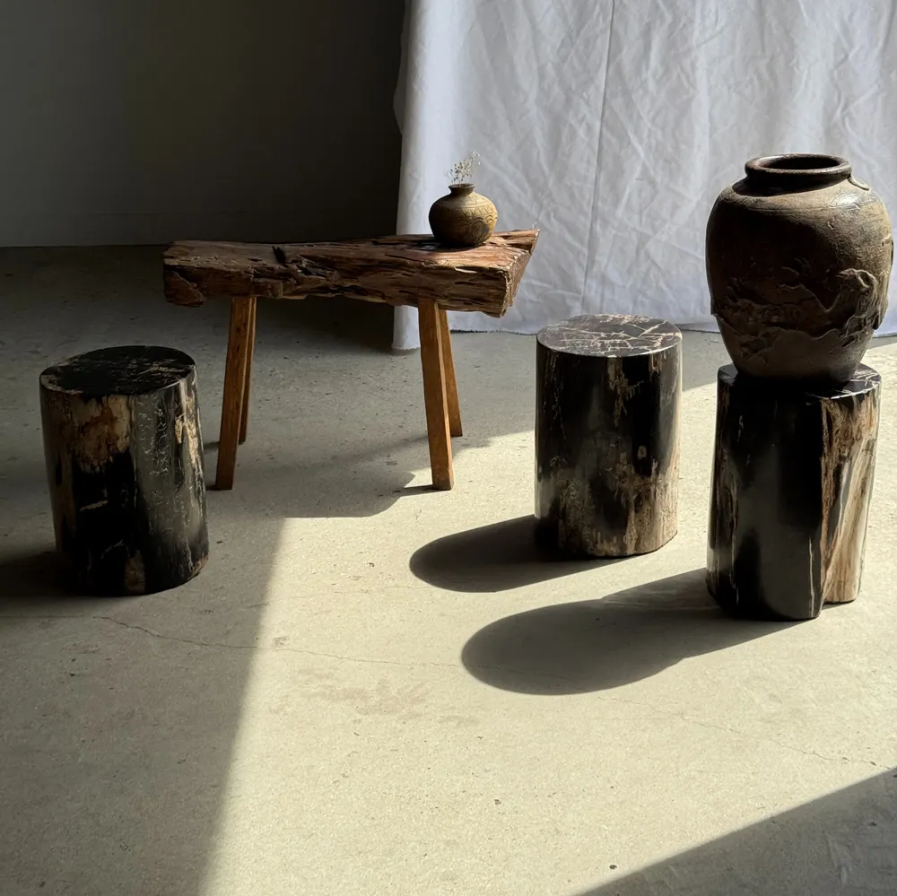 Coffee tables - Side table in black petrified wood with beige stripes fine network H35 - OFFICE OBJETS
